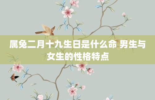 属兔二月十九生日是什么命 男生与女生的性格特点