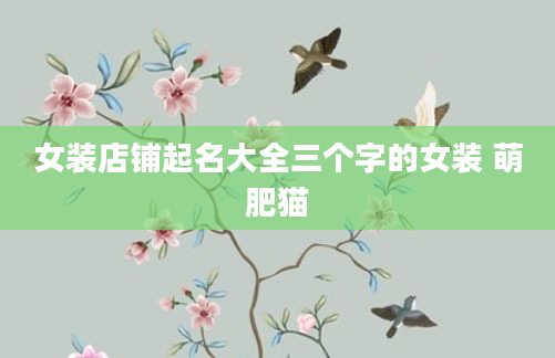 女装店铺起名大全三个字的女装 萌肥猫