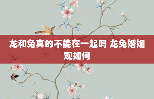 龙和兔真的不能在一起吗 龙兔婚姻观如何