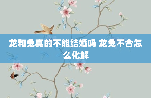 龙和兔真的不能结婚吗 龙兔不合怎么化解