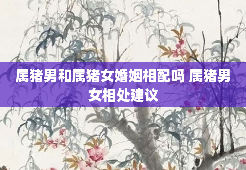 属猪男和属猪女婚姻相配吗 属猪男女相处建议