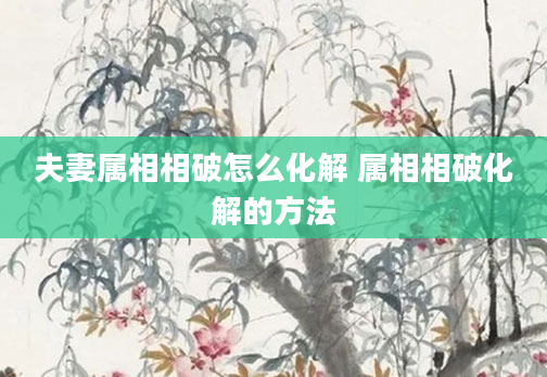 夫妻属相相破怎么化解 属相相破化解的方法