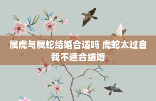 属虎与属蛇结婚合适吗 虎蛇太过自我不适合结婚