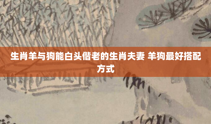 生肖羊与狗能白头偕老的生肖夫妻 羊狗最好搭配方式