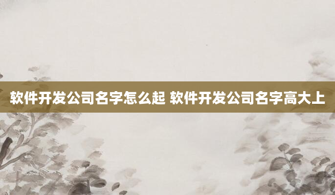 软件开发公司名字怎么起 软件开发公司名字高大上