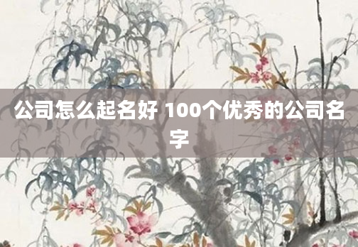 公司怎么起名好 100个优秀的公司名字