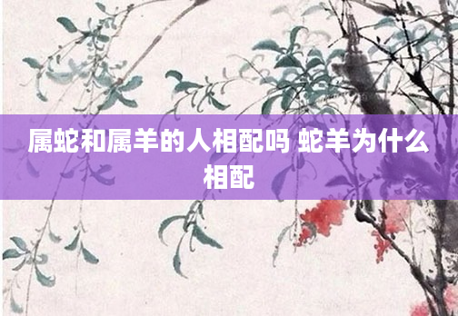 属蛇和属羊的人相配吗 蛇羊为什么相配