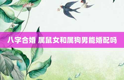 八字合婚 属鼠女和属狗男能婚配吗