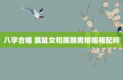 八字合婚 属鼠女和属猴男婚姻相配吗