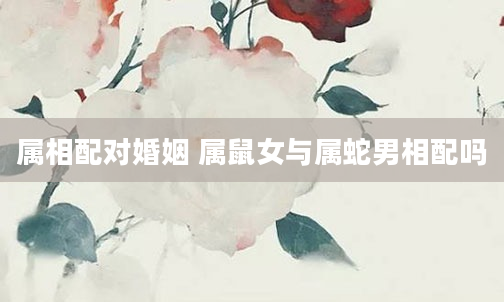 属相配对婚姻 属鼠女与属蛇男相配吗