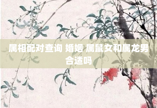 属相配对查询 婚姻 属鼠女和属龙男合适吗