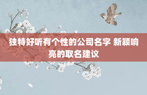 独特好听有个性的公司名字 新颖响亮的取名建议
