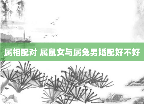属相配对 属鼠女与属兔男婚配好不好