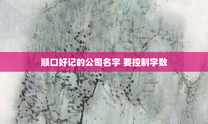 顺口好记的公司名字 要控制字数