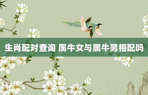 生肖配对查询 属牛女与属牛男相配吗