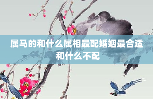 属马的和什么属相最配婚姻最合适 和什么不配