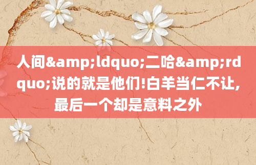 人间&ldquo;二哈&rdquo;说的就是他们!白羊当仁不让,最后一个却是意料之外