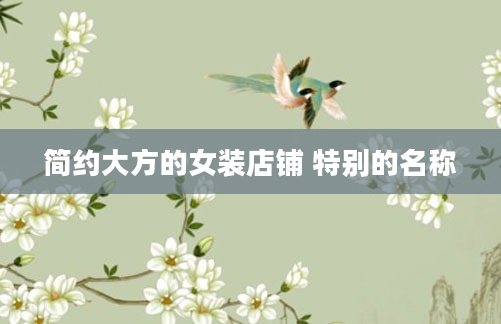 简约大方的女装店铺 特别的名称