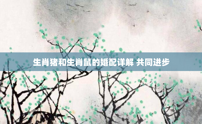 生肖猪和生肖鼠的婚配详解 共同进步