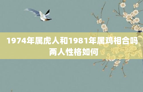 1974年属虎人和1981年属鸡相合吗  两人性格如何