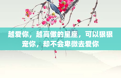 越爱你，越高傲的星座，可以狠狠宠你，却不会卑微去爱你