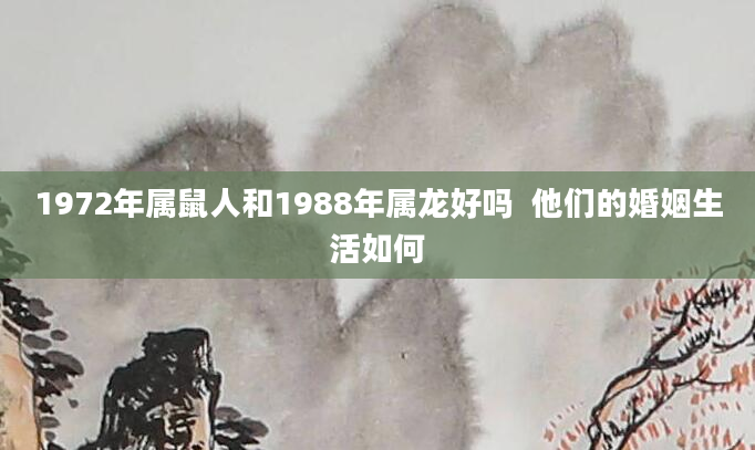 1972年属鼠人和1988年属龙好吗 他们的婚姻生活如何