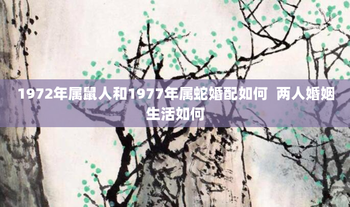 1972年属鼠人和1977年属蛇婚配如何  两人婚姻生活如何