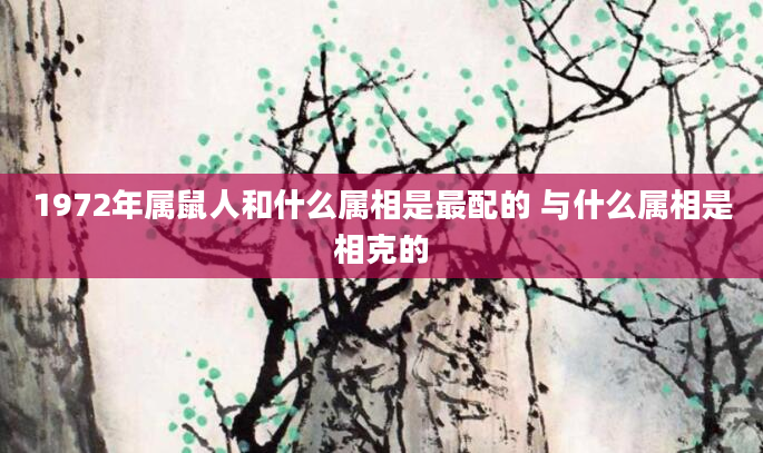 1972年属鼠人和什么属相是最配的 与什么属相是相克的