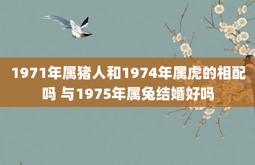 1971年属猪人和1974年属虎的相配吗 与1975年属兔结婚好吗