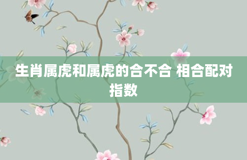 生肖属虎和属虎的合不合 相合配对指数