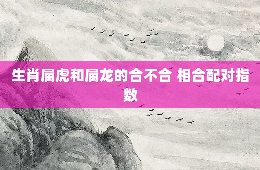 生肖属虎和属龙的合不合 相合配对指数