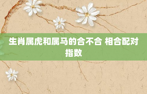 生肖属虎和属马的合不合 相合配对指数