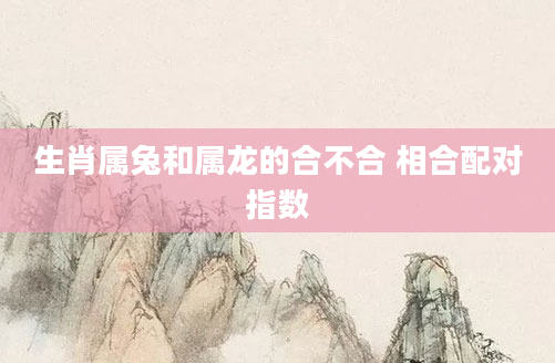 生肖属兔和属龙的合不合 相合配对指数