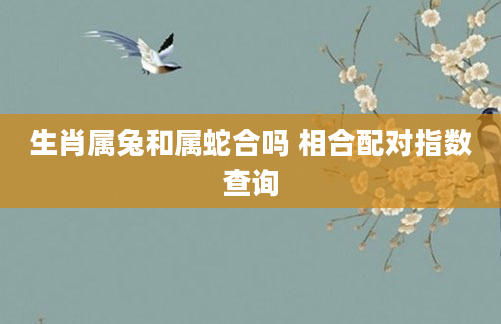 生肖属兔和属蛇合吗 相合配对指数查询