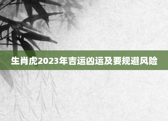 生肖虎2023年吉运凶运及要规避风险