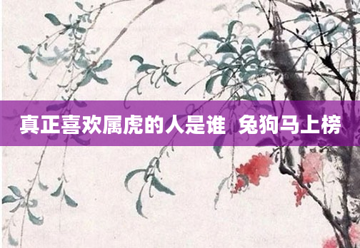 真正喜欢属虎的人是谁  兔狗马上榜