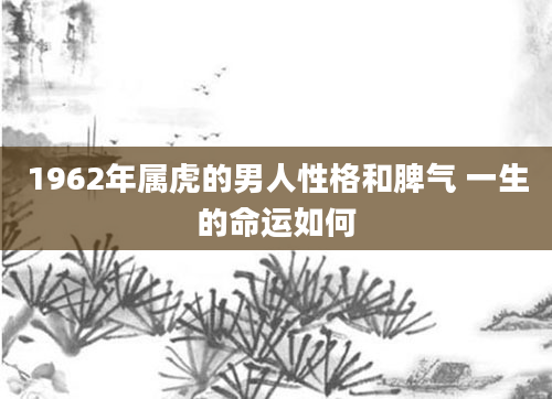 1962年属虎的男人性格和脾气 一生的命运如何