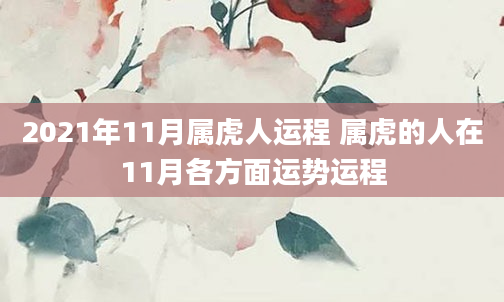 2021年11月属虎人运程 属虎的人在11月各方面运势运程