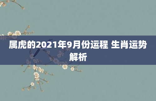 属虎的2021年9月份运程 生肖运势解析