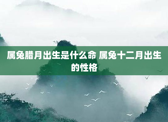 属兔腊月出生是什么命 属兔十二月出生的性格