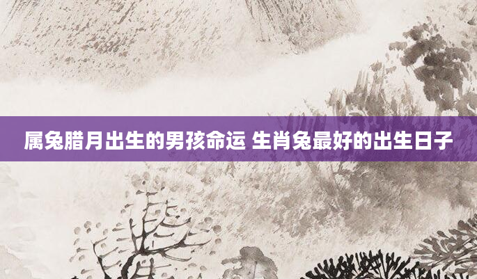 属兔腊月出生的男孩命运 生肖兔最好的出生日子