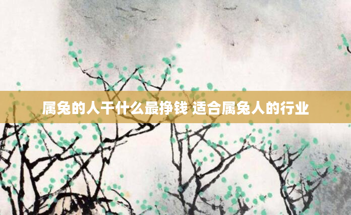 属兔的人干什么最挣钱 适合属兔人的行业