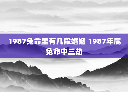 1987兔命里有几段婚姻 1987年属兔命中三劫