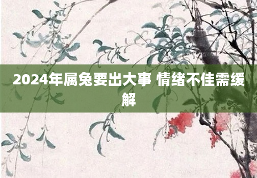 2024年属兔要出大事 情绪不佳需缓解
