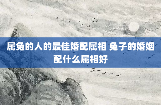 属兔的人的最佳婚配属相 兔子的婚姻配什么属相好