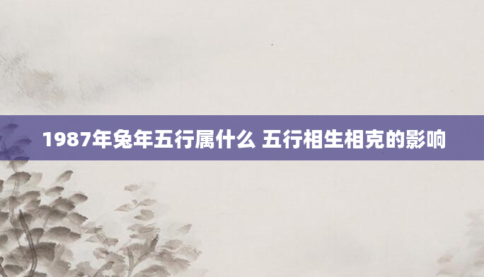 1987年兔年五行属什么 五行相生相克的影响