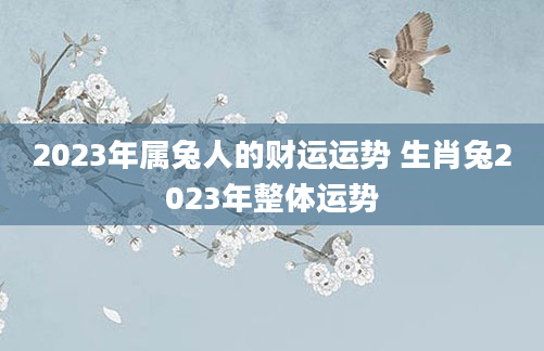 2023年属兔人的财运运势 生肖兔2023年整体运势