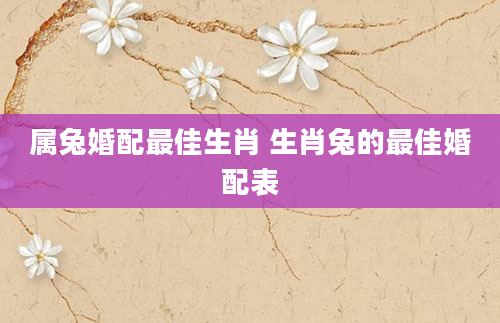 属兔婚配最佳生肖 生肖兔的最佳婚配表