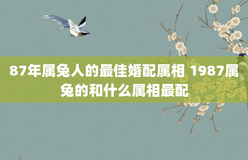 87年属兔人的最佳婚配属相 1987属兔的和什么属相最配