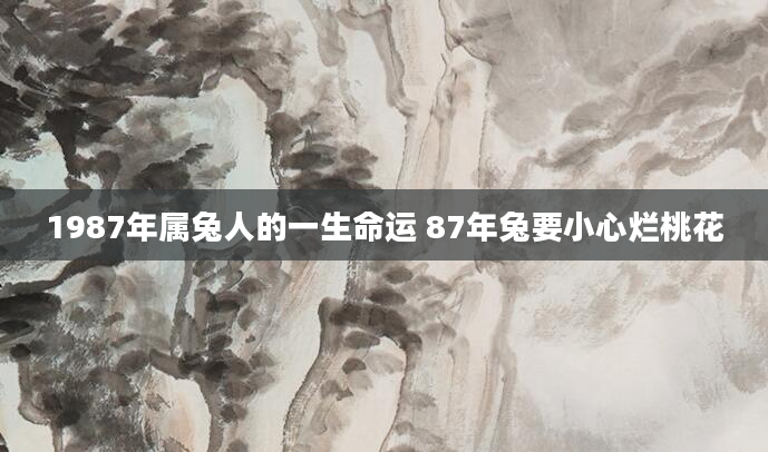 1987年属兔人的一生命运 87年兔要小心烂桃花